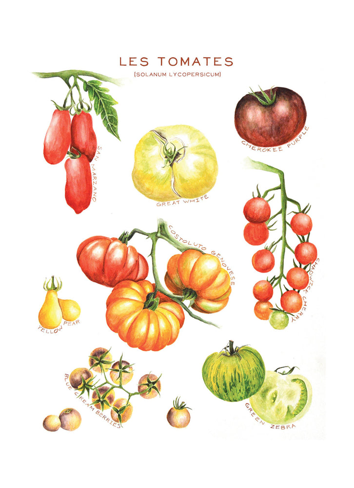 
                  
                    Maison Lorraine Tea Towels
                  
                