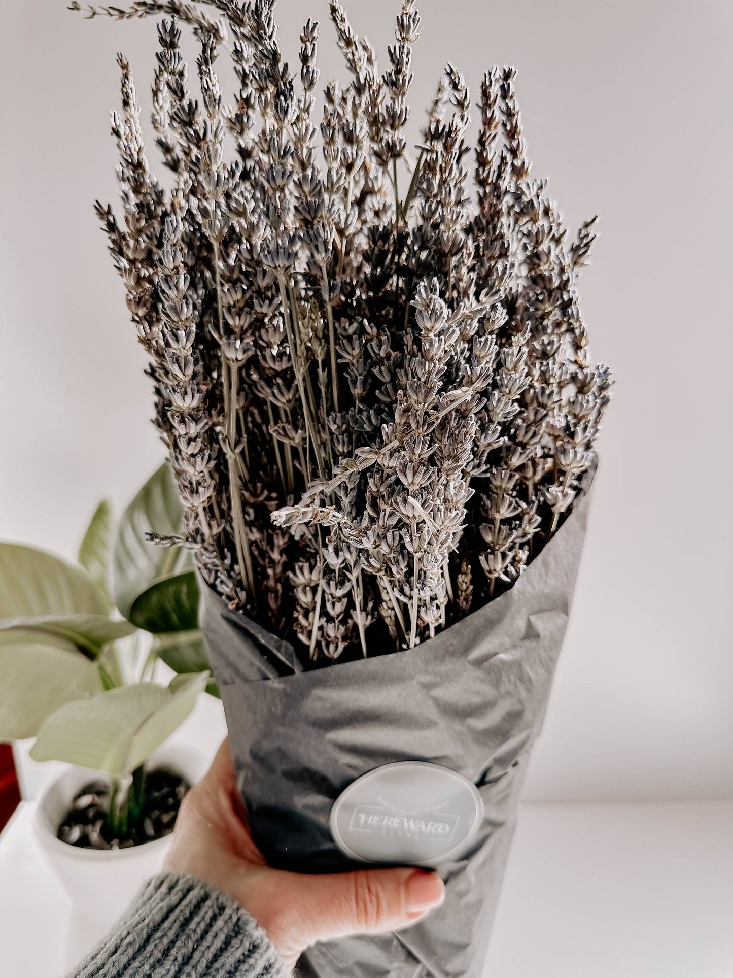 
                  
                    Dried French Lavender Bunches
                  
                