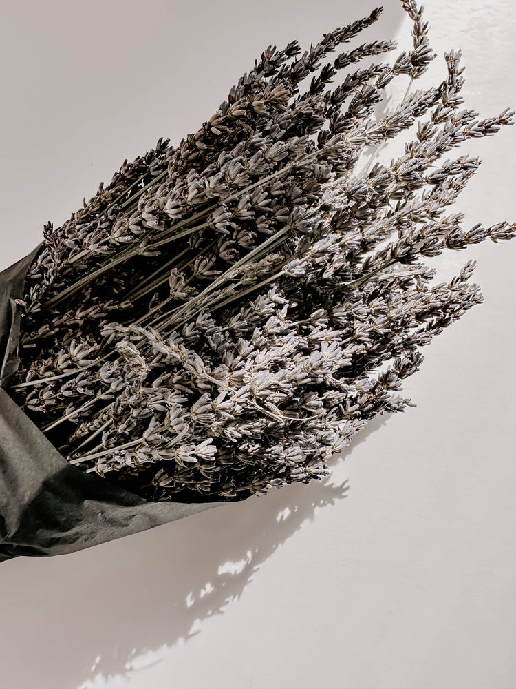 
                  
                    Dried French Lavender Bunches
                  
                