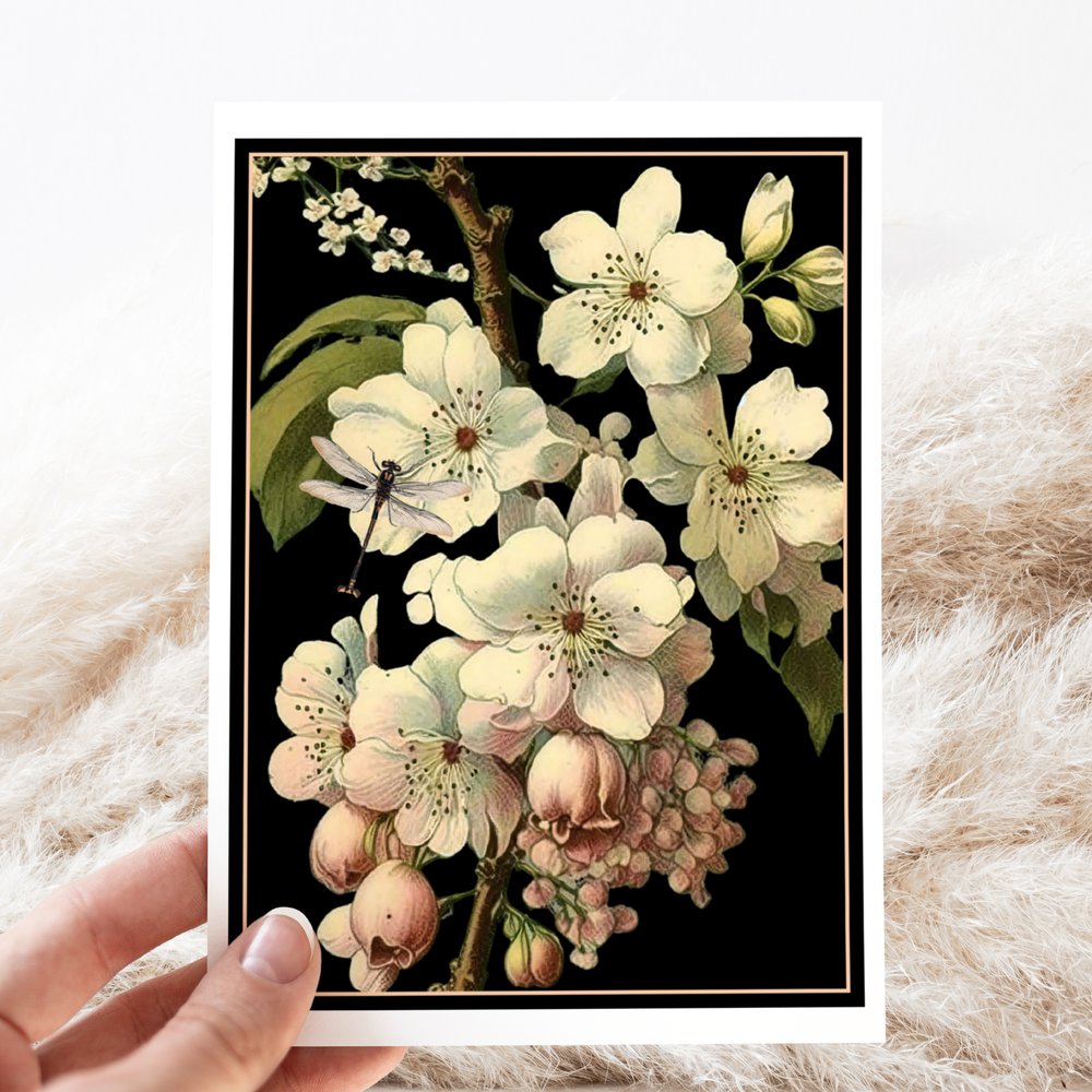Card. Vintage Cherry Blossoms Greeting Card. Dramatic.