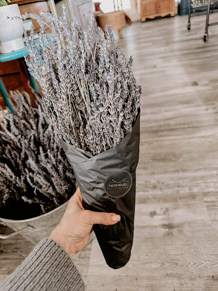 
                  
                    Dried French Lavender Bunches
                  
                