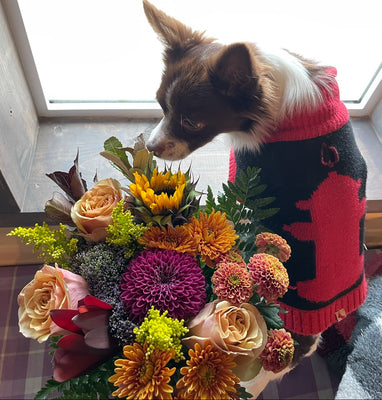 Grab & Go Bouquet (Pickup Only)
