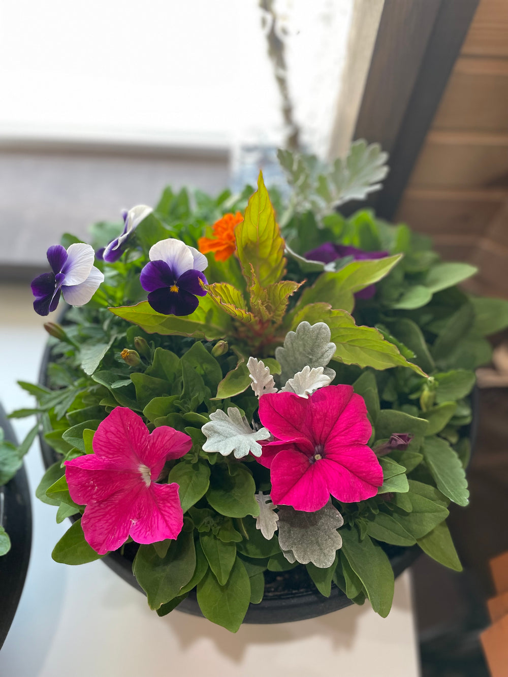 Balcony Bowl Planter