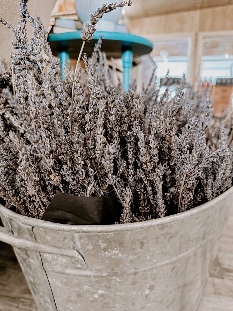 
                  
                    Dried French Lavender Bunches
                  
                