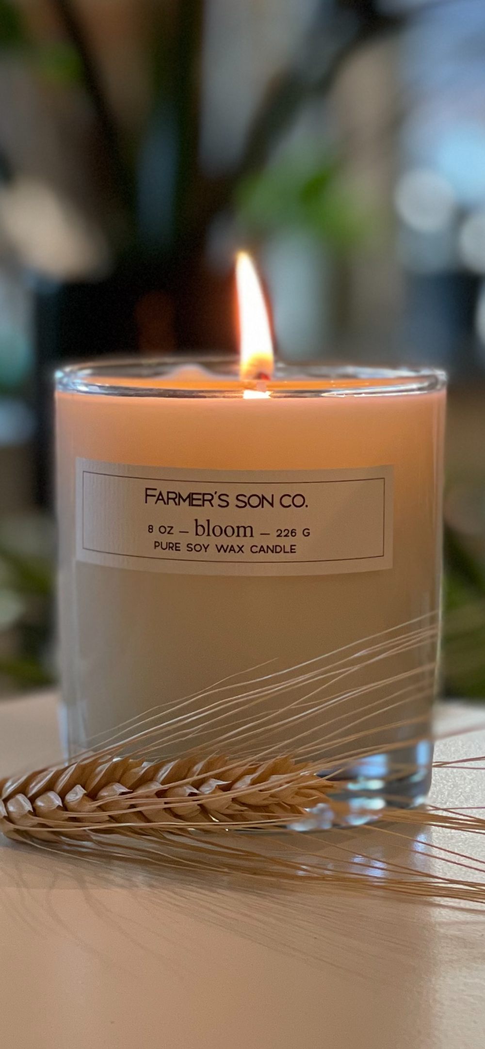 Farmer’s Son Co.  Soy Candles
