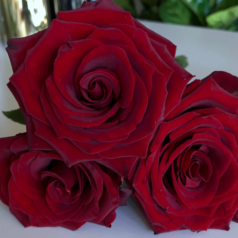Premium Long Stem Red Rose Bouquet